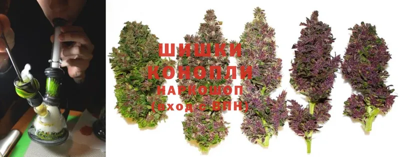 продажа наркотиков  omg сайт  Каннабис White Widow  Азнакаево 